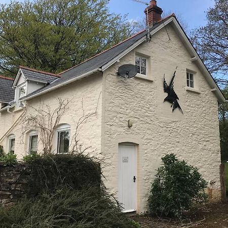 Peaceful Cottage, Close To Coast & Moor Parracombe Buitenkant foto